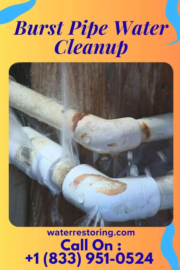 Burst Pipe Water Cleanup in Barton Hills, MI
