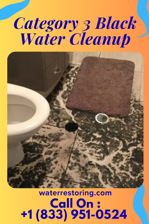 Category 3 Black Water Cleanup in Barton Hills, MI