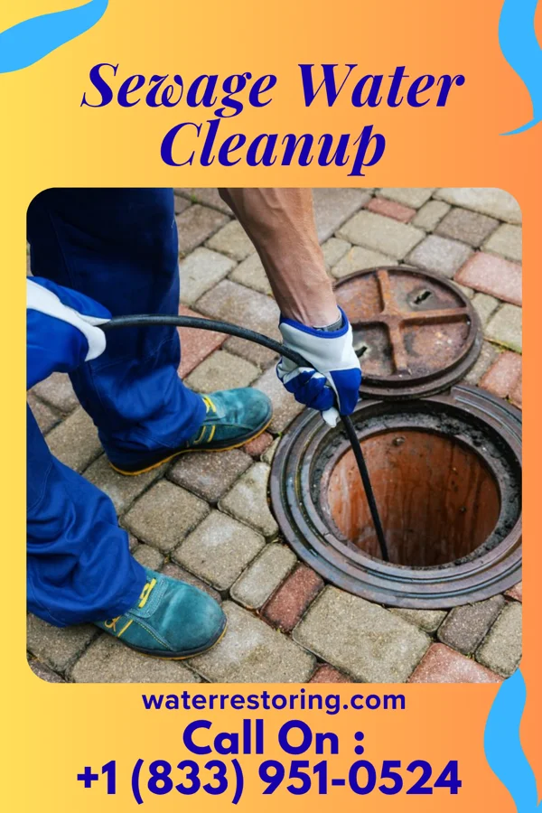 Sewage Water Cleanup in Barton Hills, MI